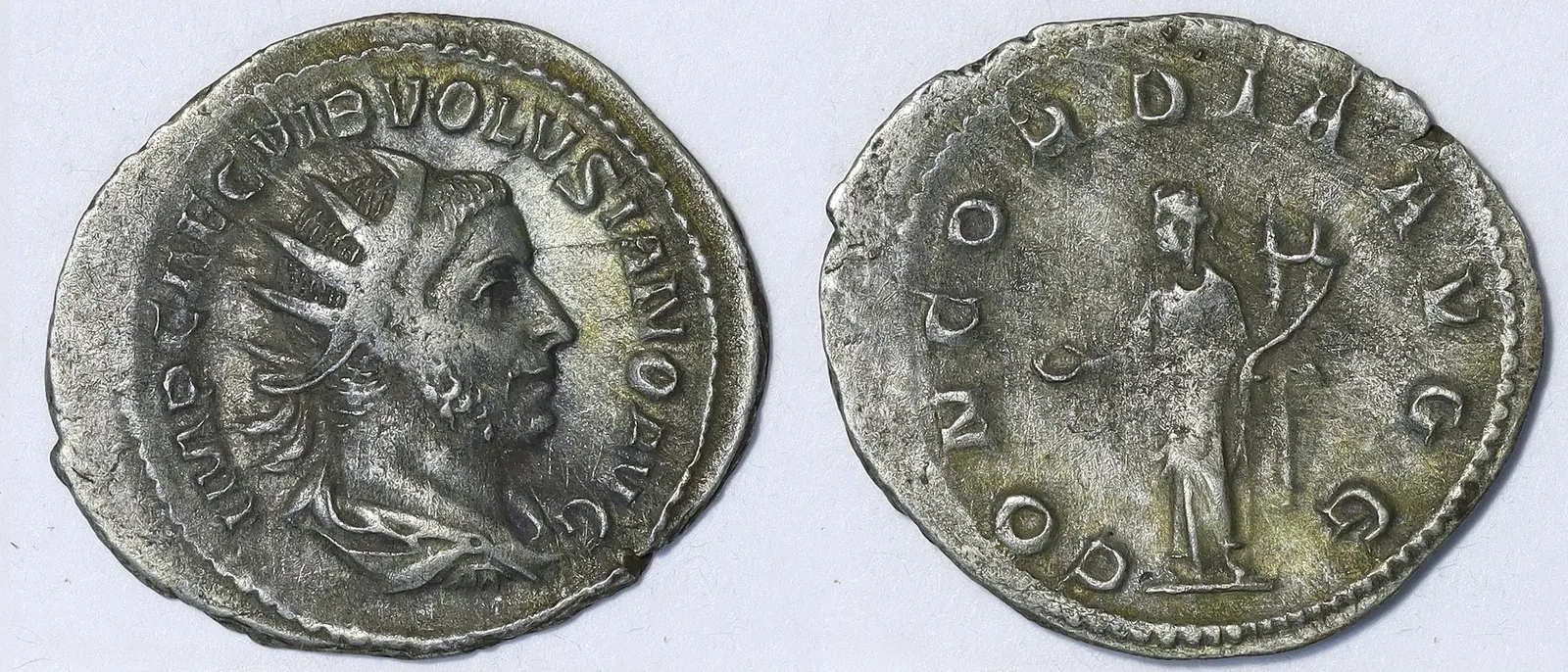 ni podatka