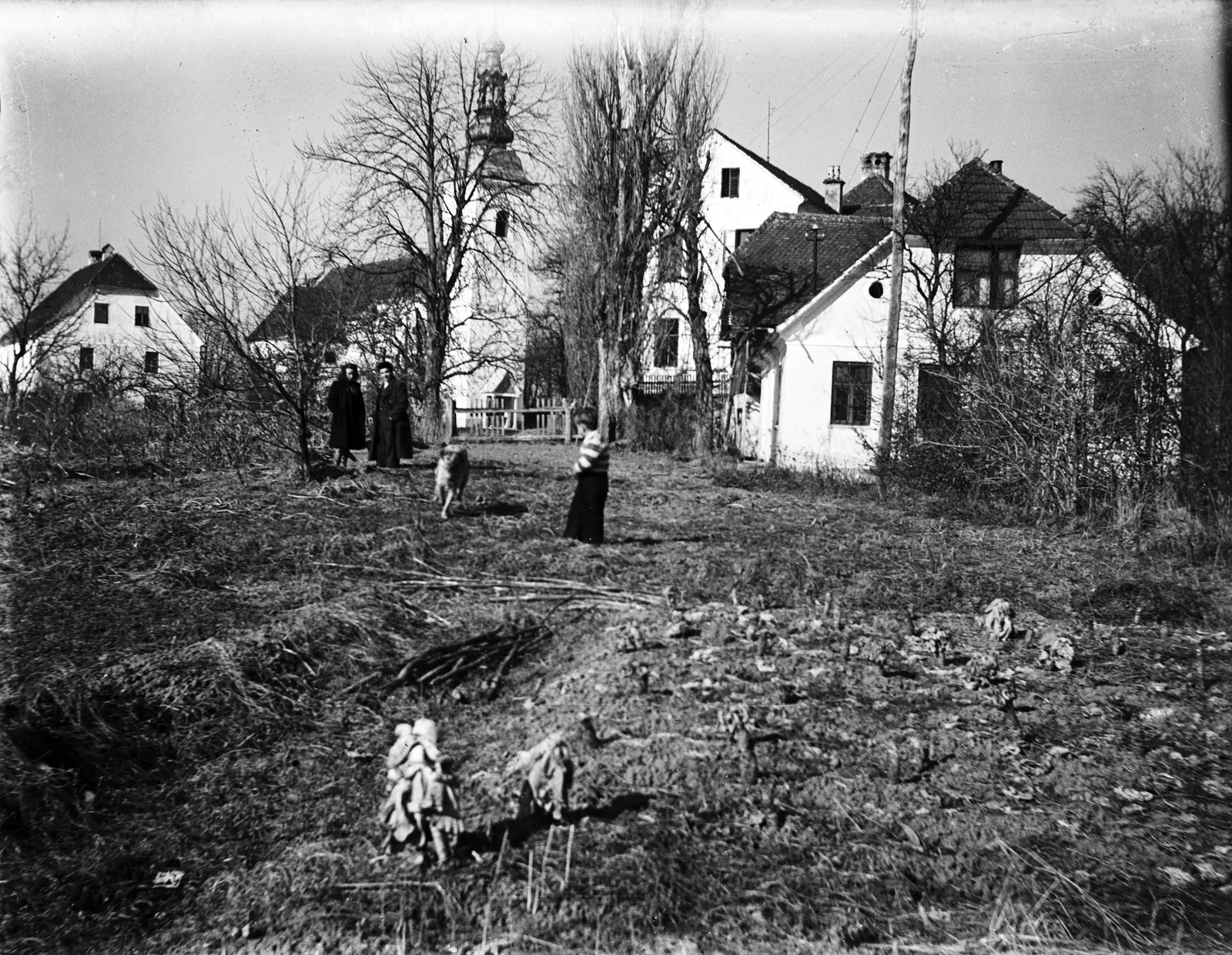 Škale